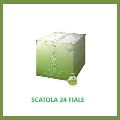 GELPLIS lozione fissapiega fiala box 24x16 ml - extra forte