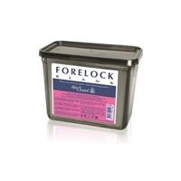 FORELOCK BLANK decolorante bustina 25 gr